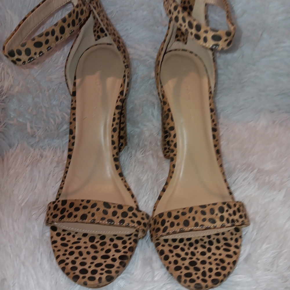 Wild Diva Brown and Black Heeled Shoes